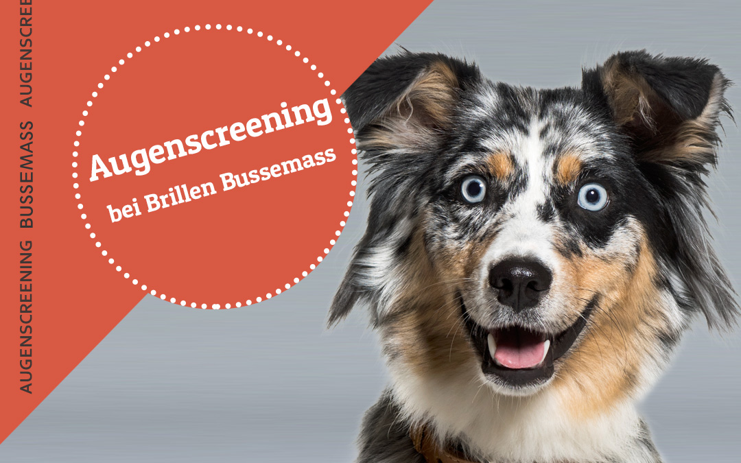 Für den sorgfältigen Check Ihrer Augengesundheit halten wir kurzfristig Termine bereit. Kein langes Warten, keine Ungewissheit – vereinbaren Sie jetzt Ihren persönlichen Untersuchungstermin bei Brillen Bussemass in Gütersloh!