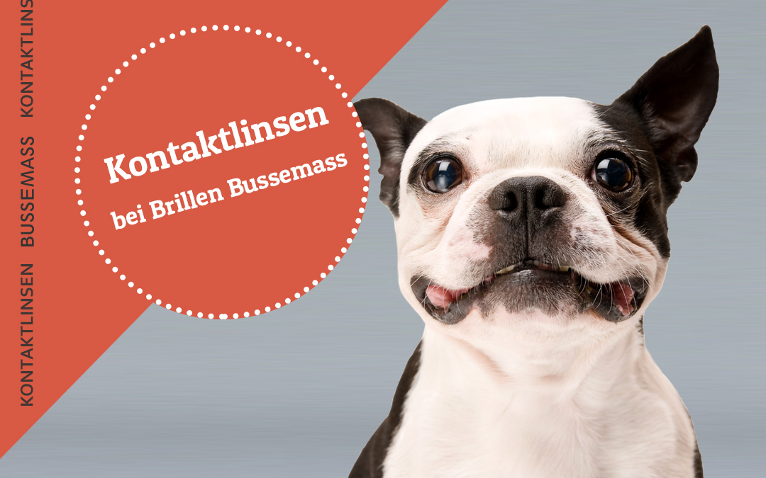 Kontaktlinsen sind Vertrauenssache - Weiche Tages-, Monats- und Jahreslinsen, formstabile Kontaktlinsen oder Multifokallinsen passen wir Ihren Augen bei individueller Beratung ideal an - Brillen Bussemass in Güterloh