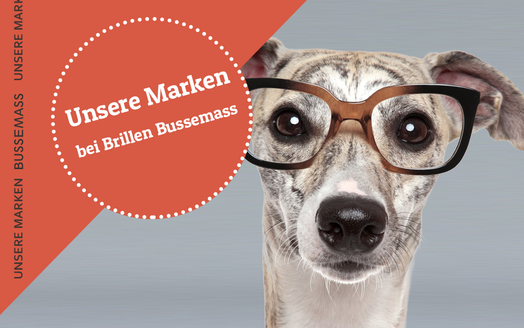 Exklusive Brillengestelle - Designerbrillen  - Markenbrillen - Damenbrillen für perfekten Look und Stil bei Ihrem Optiker in Gütersloh - Brillen Bussemass