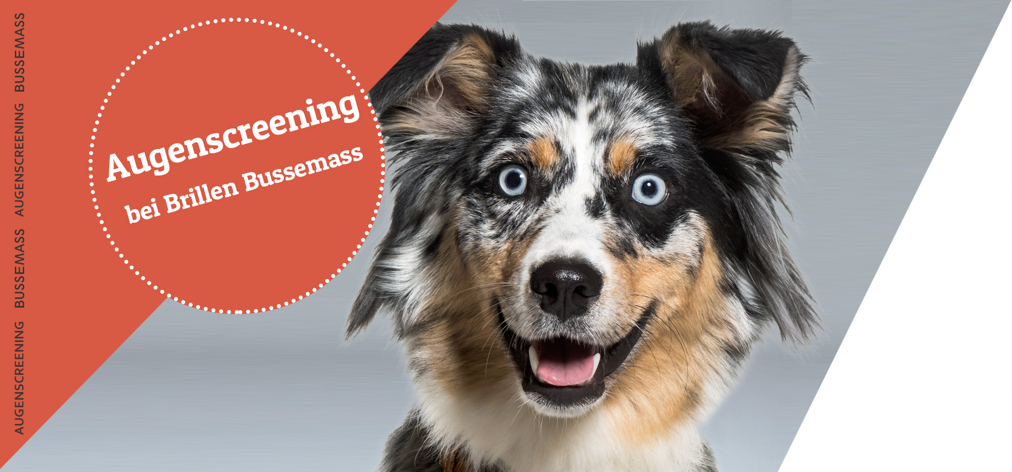 Für den sorgfältigen Check Ihrer Augengesundheit halten wir kurzfristig Termine bereit. Kein langes Warten, keine Ungewissheit – vereinbaren Sie jetzt Ihren persönlichen Untersuchungstermin bei Brillen Bussemass in Gütersloh!