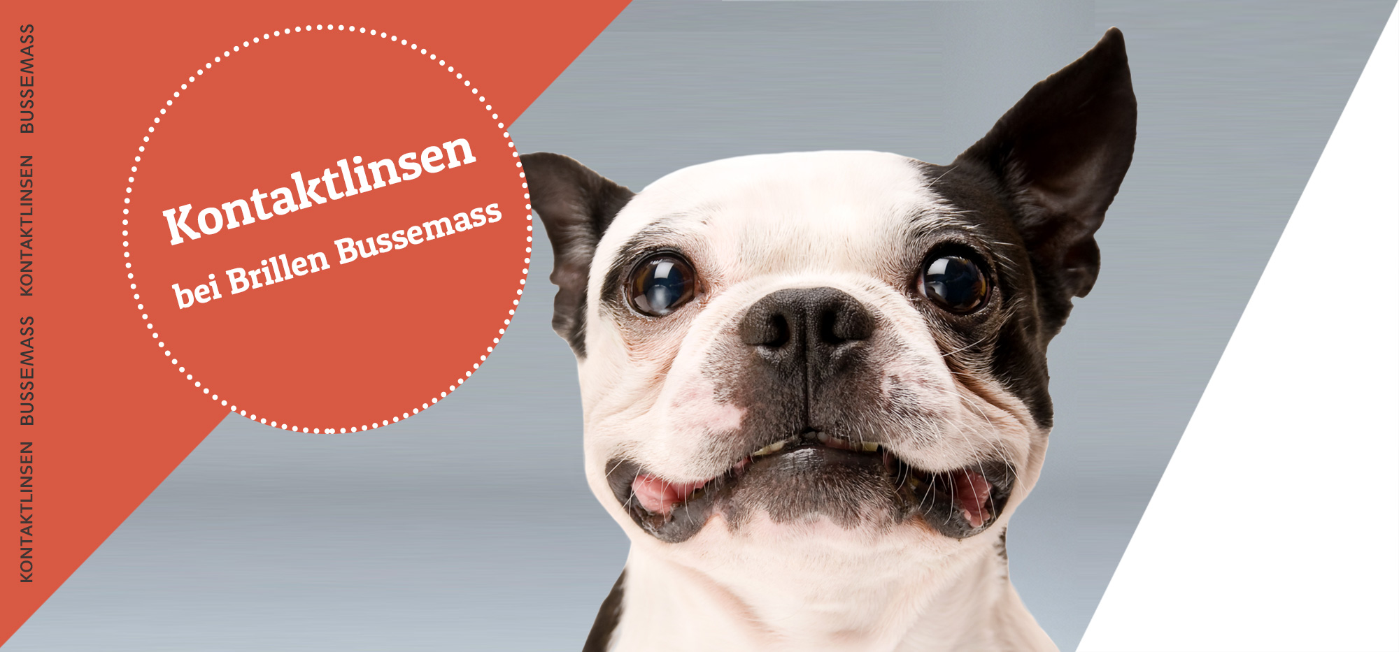 Kontaktlinsen sind Vertrauenssache - Weiche Tages-, Monats- und Jahreslinsen, formstabile Kontaktlinsen oder Multifokallinsen passen wir Ihren Augen bei individueller Beratung ideal an - Brillen Bussemass in Güterloh