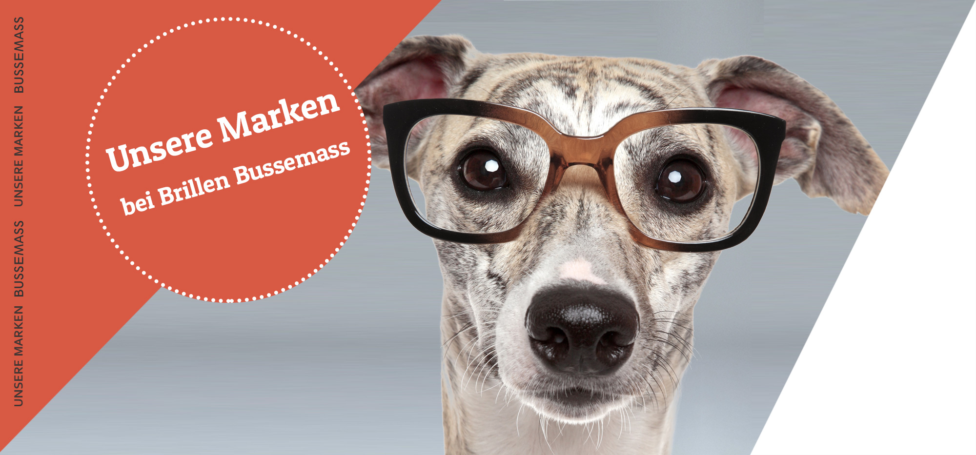 Exklusive Brillengestelle - Designerbrillen - Markenbrillen - Damenbrillen für perfekten Look und Stil bei Ihrem Optiker in Gütersloh - Brillen Bussemass