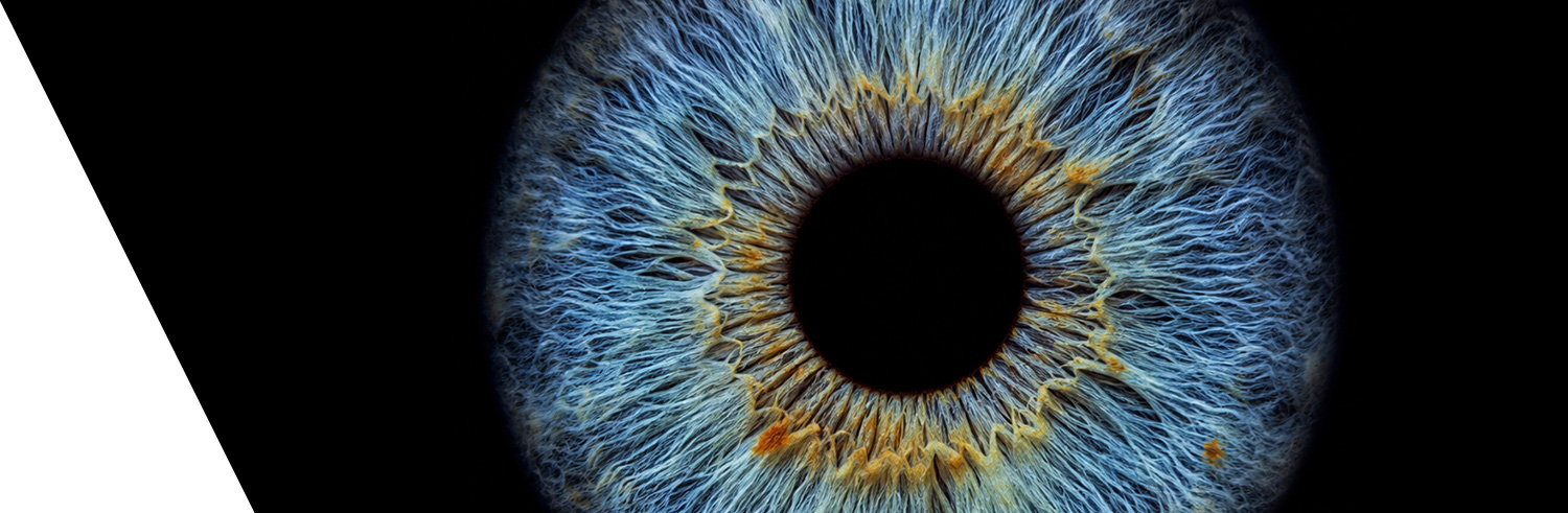 Augen-Check-Up, kurzfristig und professionell. Vereinbaren Sie kurzfristig einen Termin bei Brillen Bussemass! Das Screening Ihrer Augen erfolgt direkt und bequem in unserem Ladengeschäft Unter den Ulmen 47 in Gütersloh.